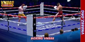 Boxing Vn888
